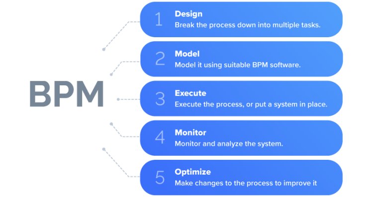 What is Business Process Management BPM Solutions?